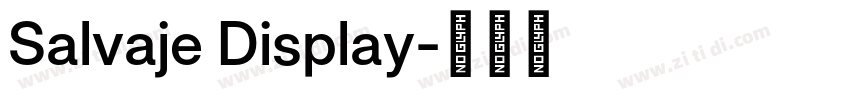 Salvaje Display字体转换 Salvaje Display字体转换